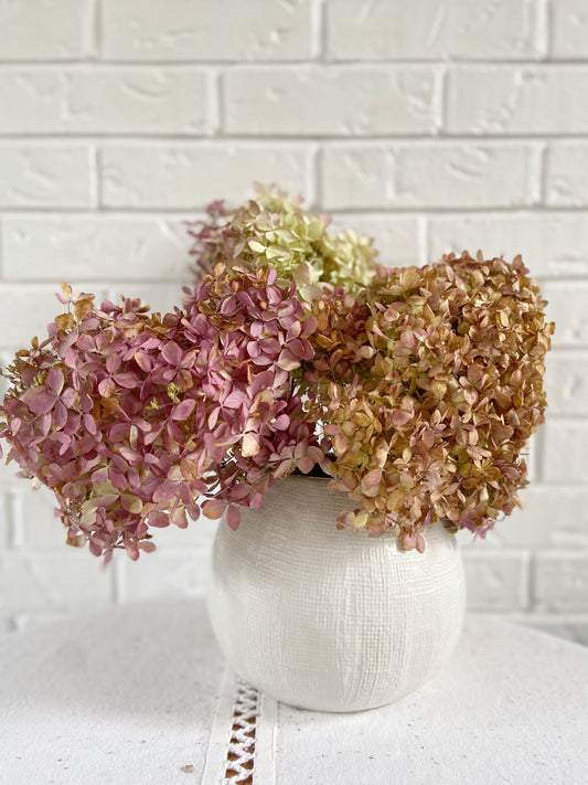 Dried Hydrangea Bouquet
